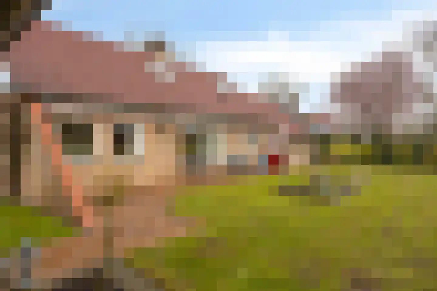 Gondalaan 51 Goor thumbnail 33