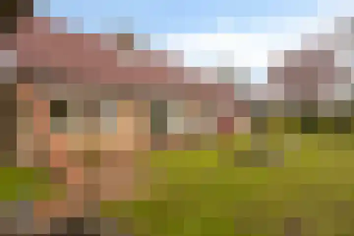 Gondalaan 51 Goor thumbnail 33