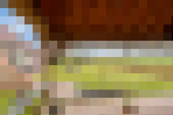 Gondalaan 51 Goor thumbnail 34