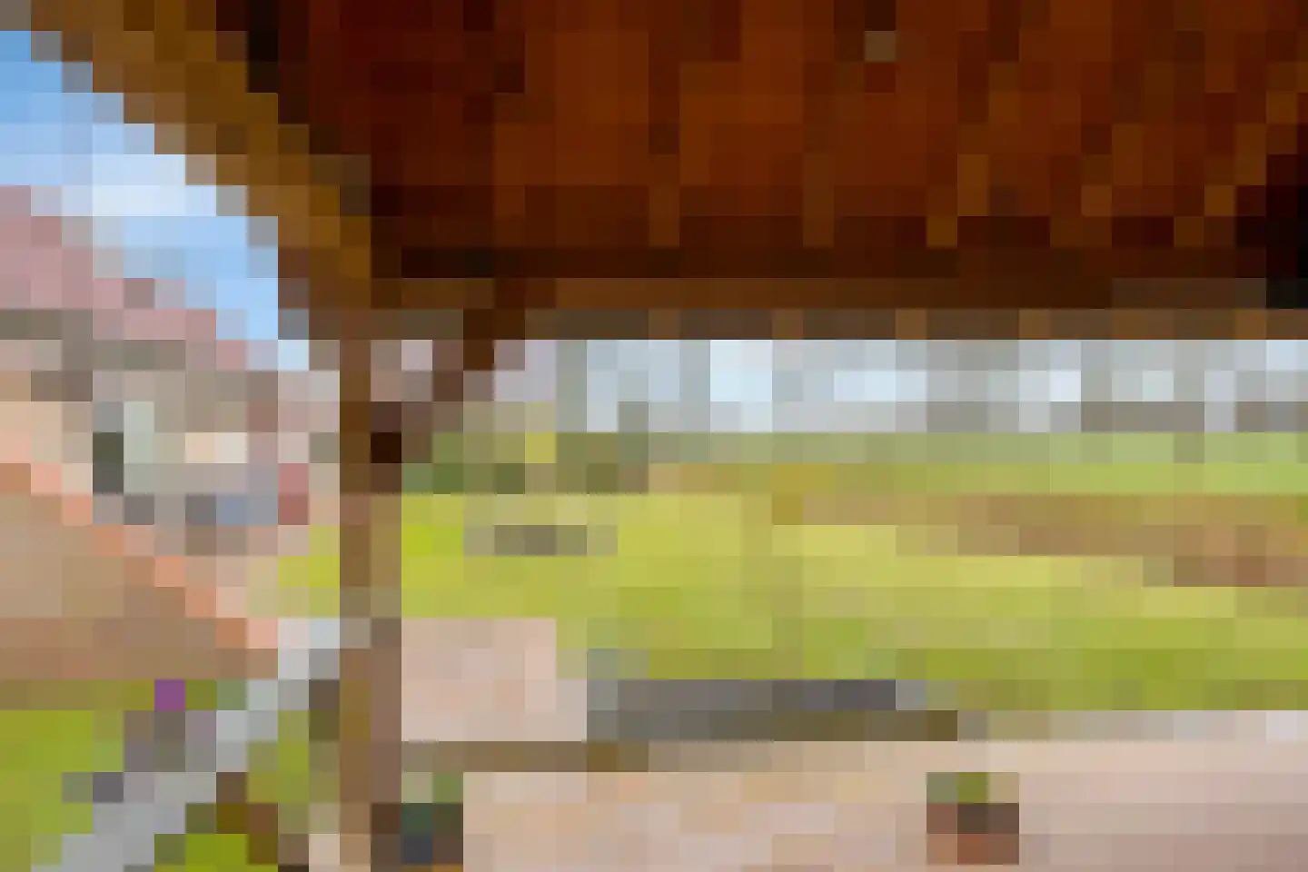 Gondalaan 51 Goor thumbnail 34