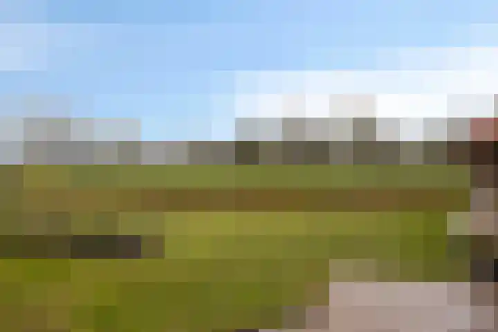 Gondalaan 51 Goor thumbnail 35