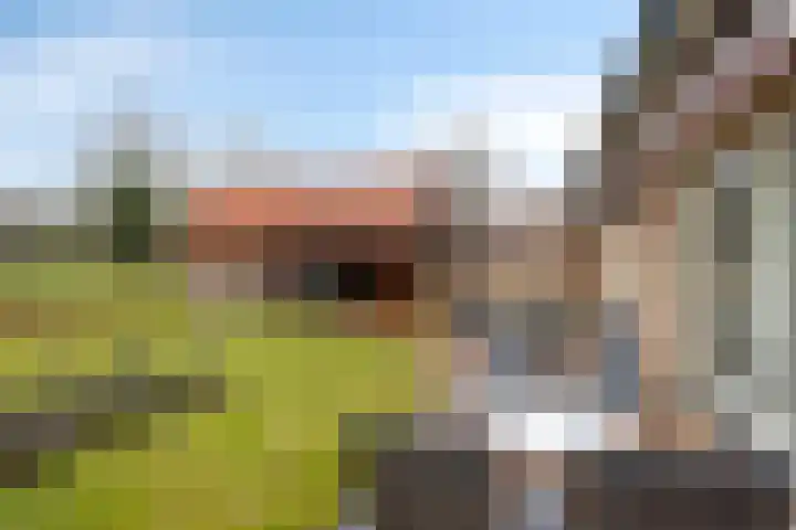 Gondalaan 51 Goor thumbnail 36