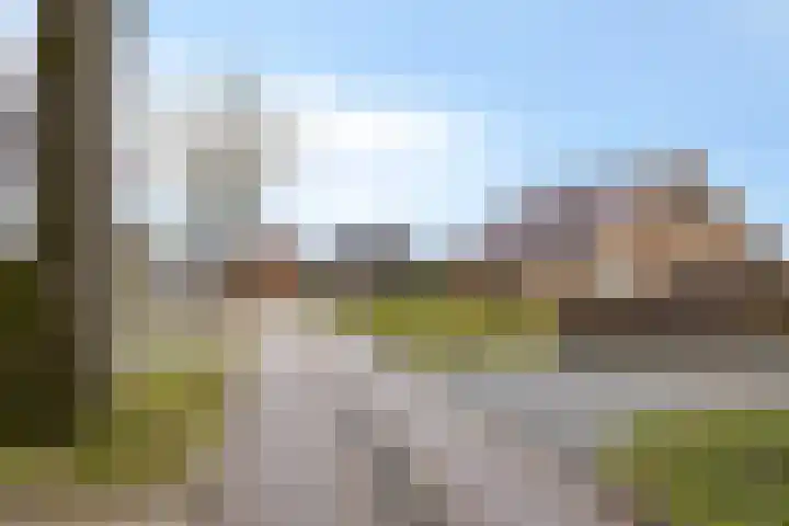 Gondalaan 51 Goor thumbnail 38