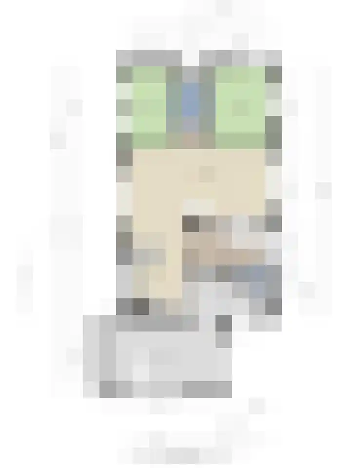 Gondalaan 51 Goor thumbnail 39