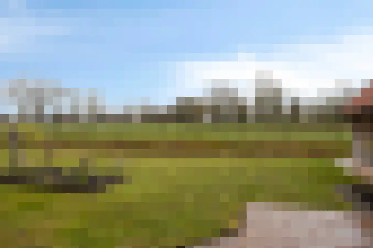 Gondalaan 51 Goor thumbnail 6