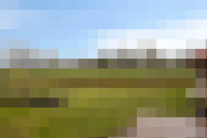 Gondalaan 51 Goor thumbnail 6