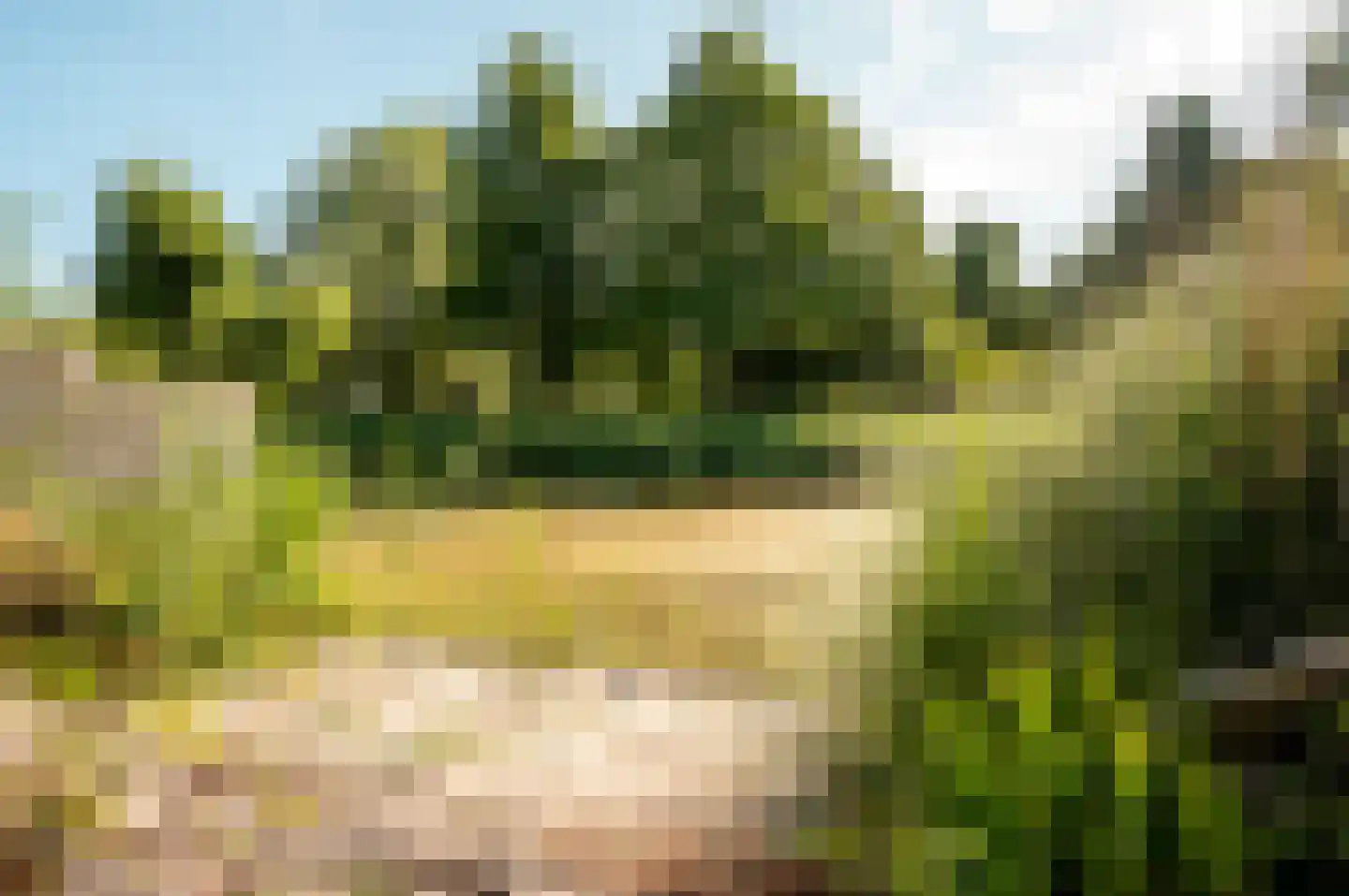 Gondel 10 48 Lelystad thumbnail 32