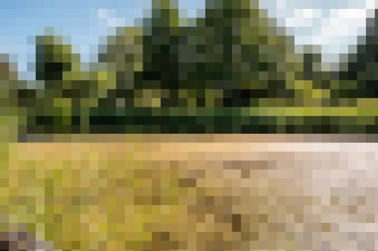 Gondel 10 48 Lelystad thumbnail 36