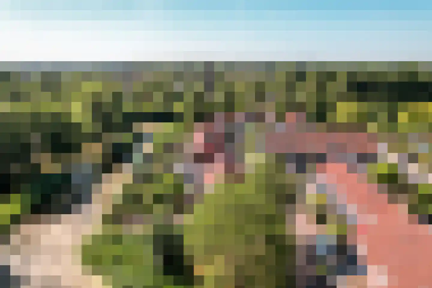 Gondel 10 48 Lelystad thumbnail 47