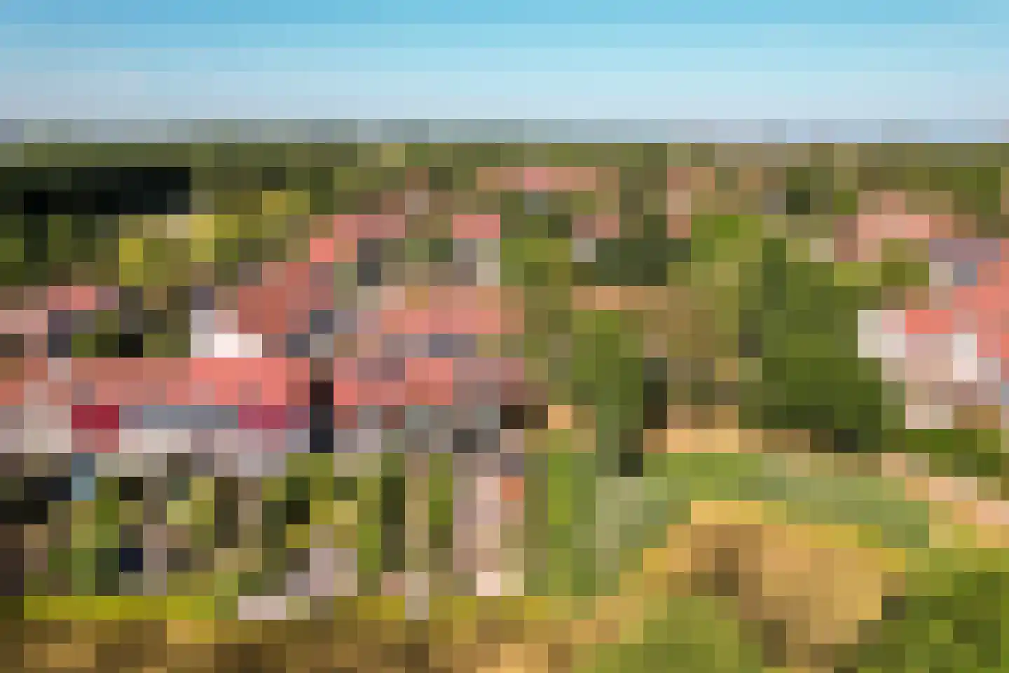 Gondel 10 48 Lelystad thumbnail 48