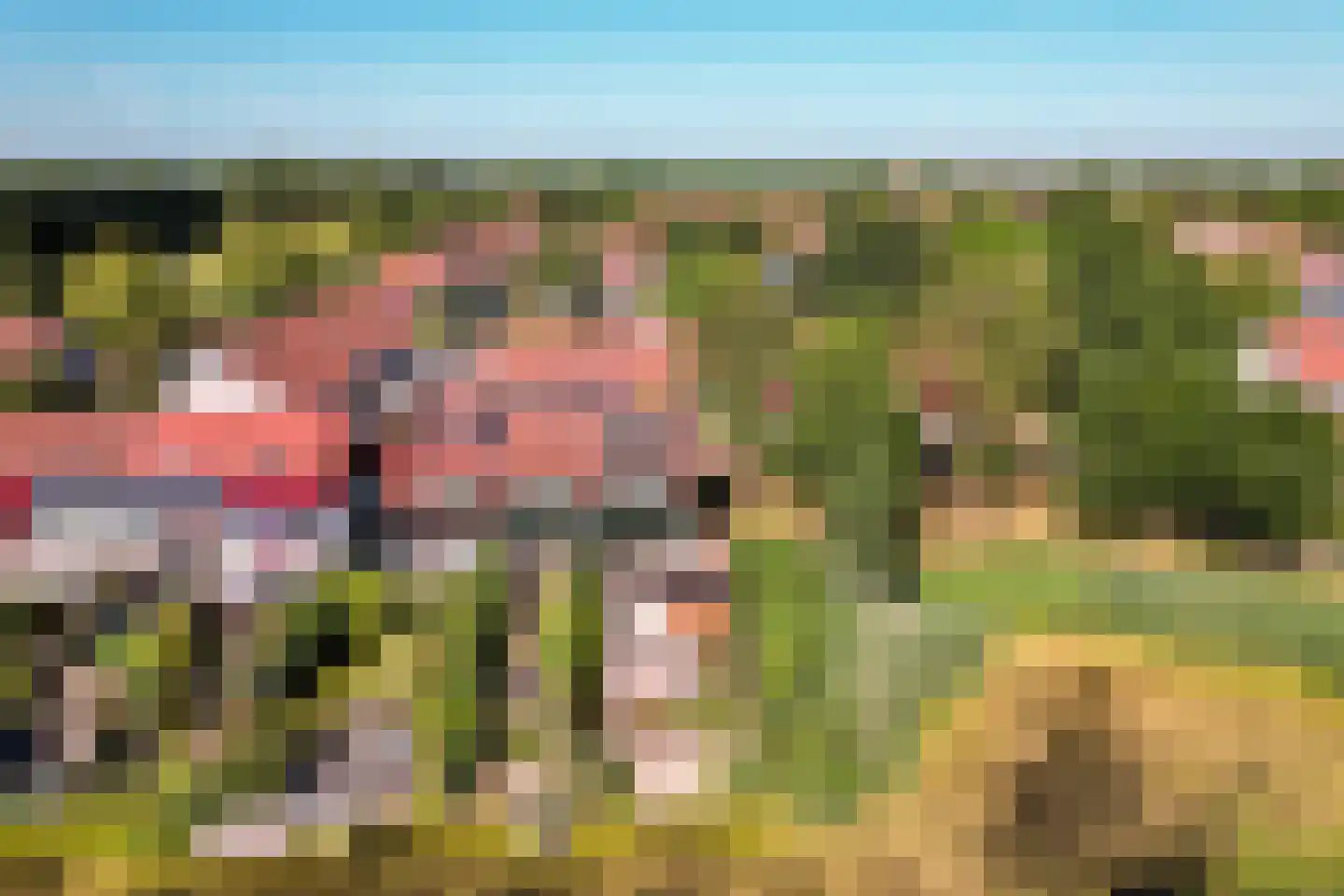 Gondel 10 48 Lelystad thumbnail 49