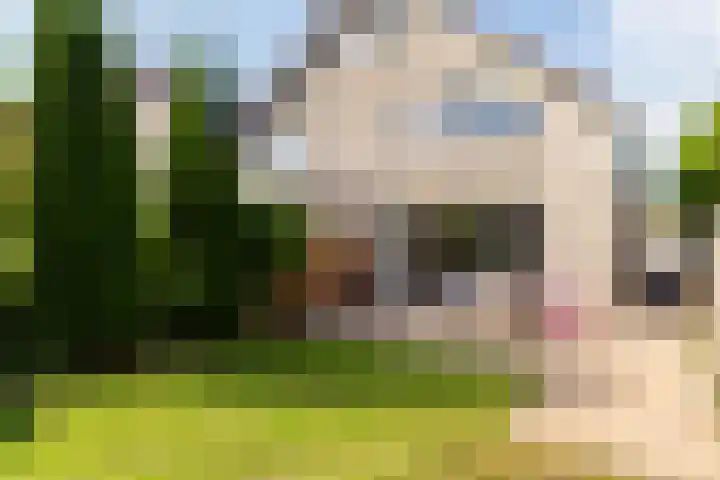 Gondel 12 12 35 Lelystad thumbnail 20