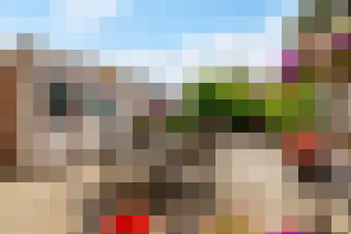 Gondel 13 13 36 Lelystad thumbnail 38