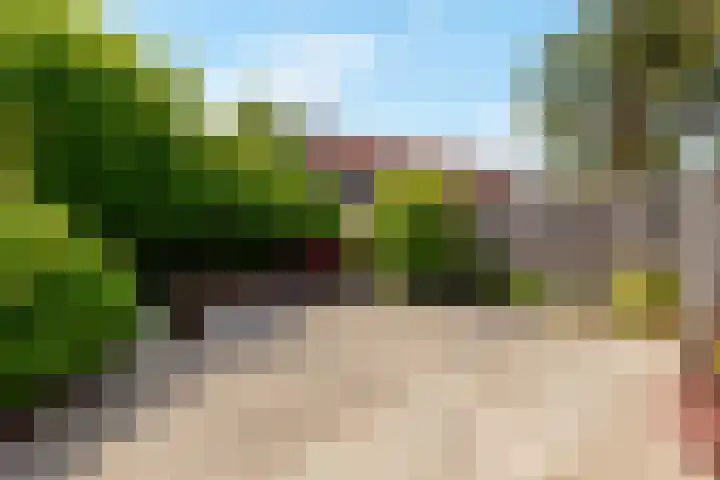 Gondel 13 36 Lelystad thumbnail 35
