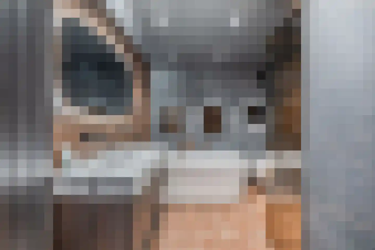 Gondel 14 11 Lelystad thumbnail 50