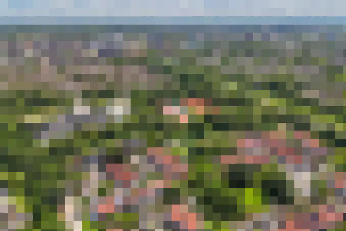 Gondel 14 11 Lelystad thumbnail 75