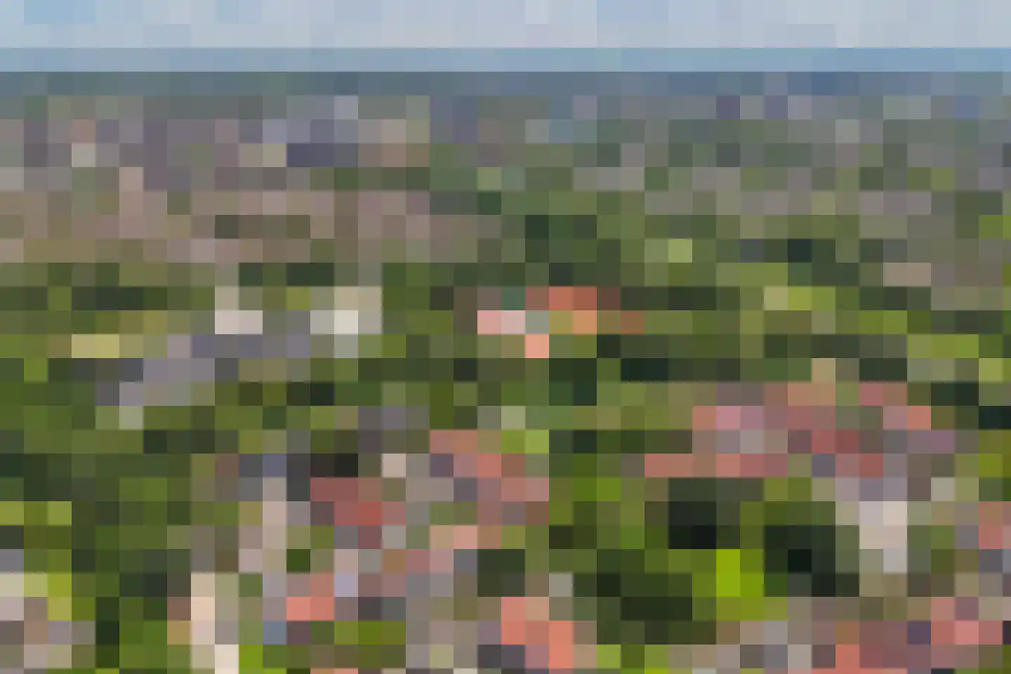 Gondel 14 11 Lelystad thumbnail 76
