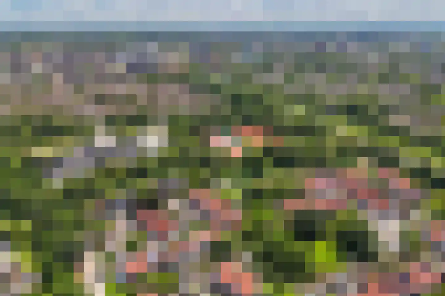 Gondel 14 11 Lelystad thumbnail 76
