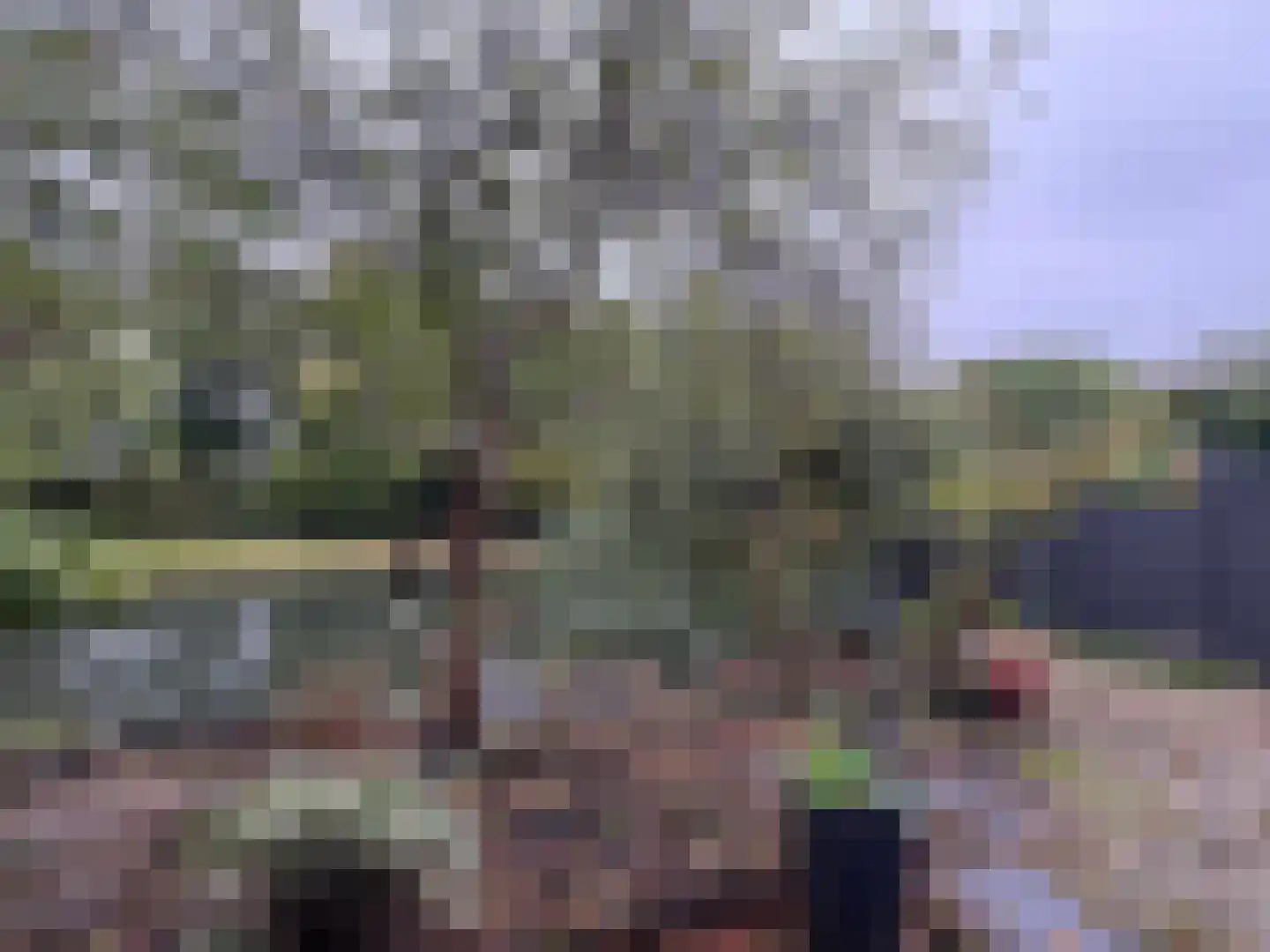 Gondel 14 29 Lelystad thumbnail 39