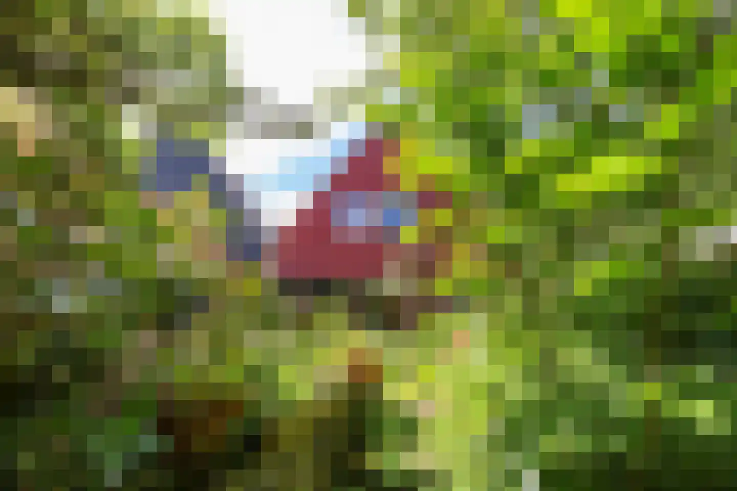 Gondel 14 29 Lelystad thumbnail 42