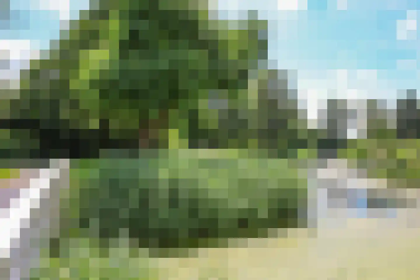 Gondel 14 29 Lelystad thumbnail 53