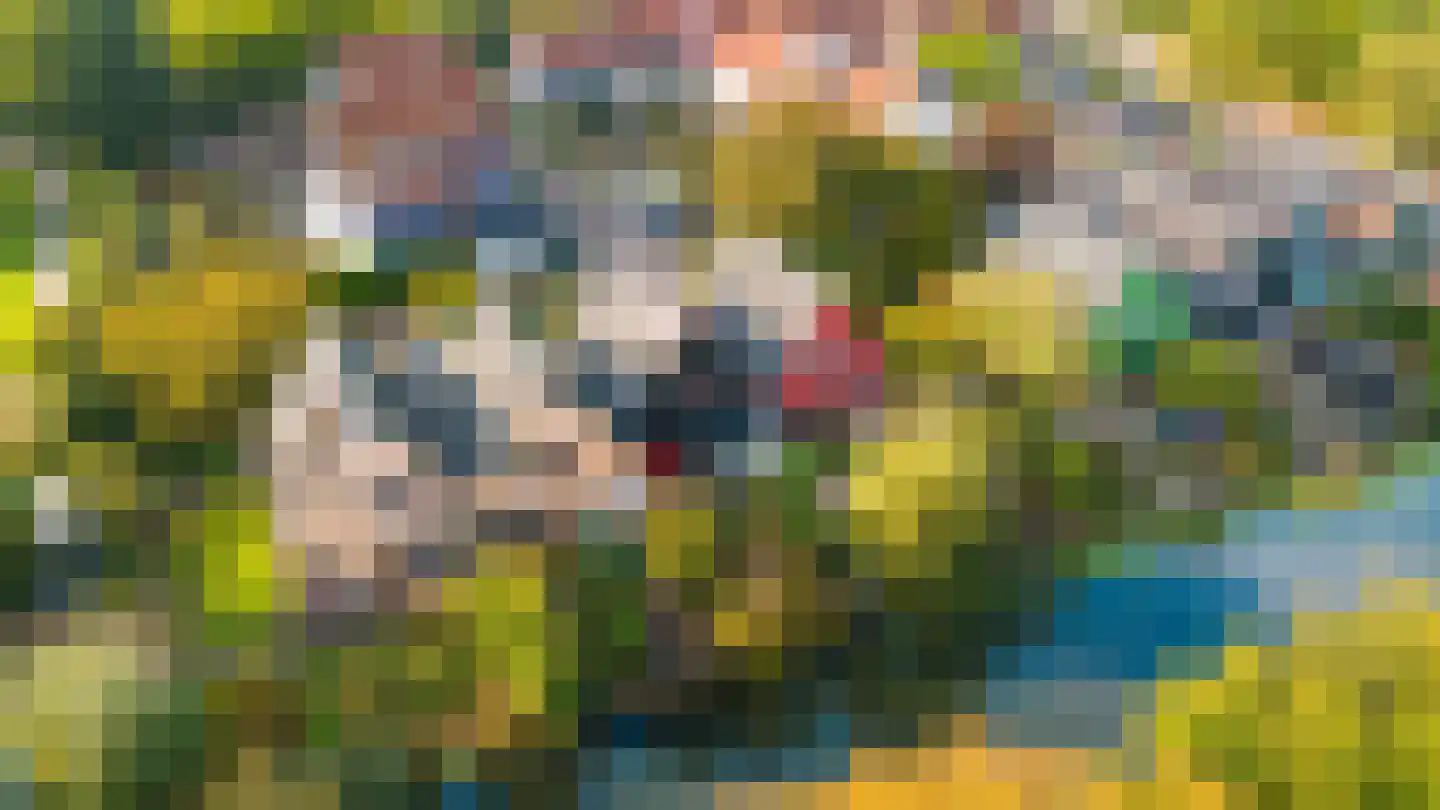 Gondel 14 29 Lelystad thumbnail 69