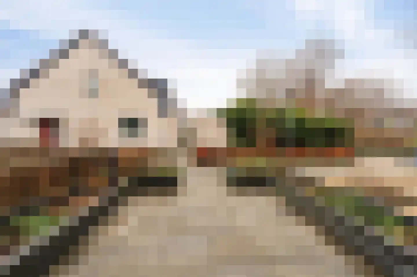 Gondel 16 36 Lelystad thumbnail 59