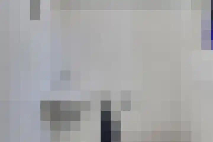 Gondel 24 Veenendaal thumbnail 10