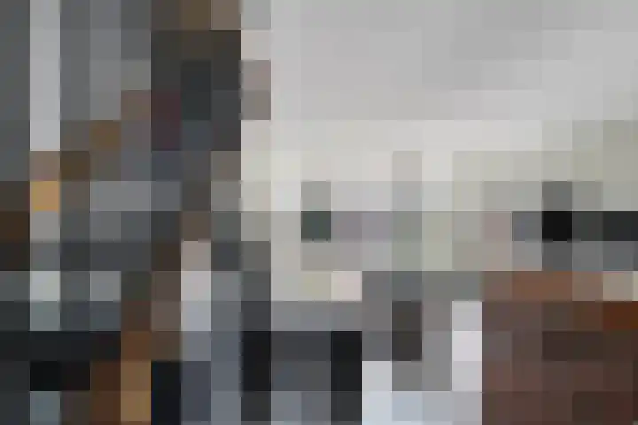 Gondel 24 Veenendaal thumbnail 11