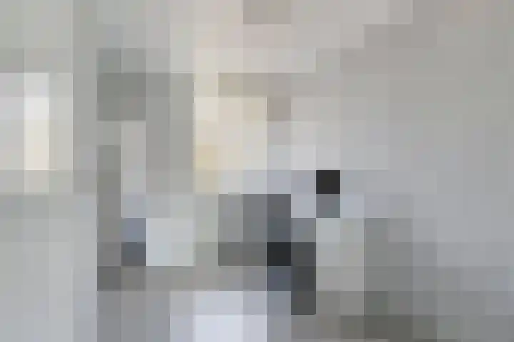Gondel 24 Veenendaal thumbnail 17