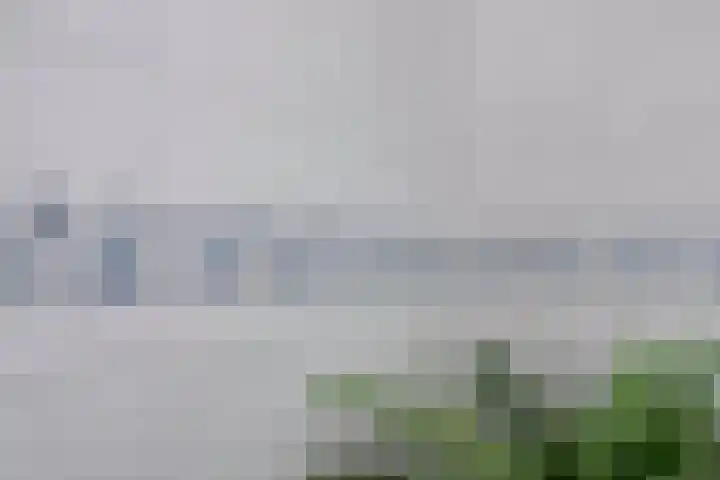 Gondel 24 Veenendaal thumbnail 20