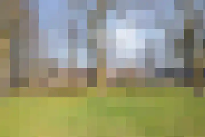 Gondel 24 Veenendaal thumbnail 34