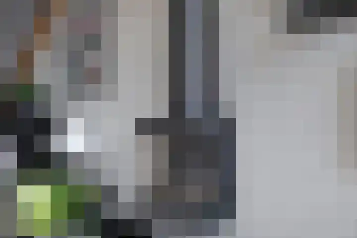 Gondel 24 Veenendaal thumbnail 6