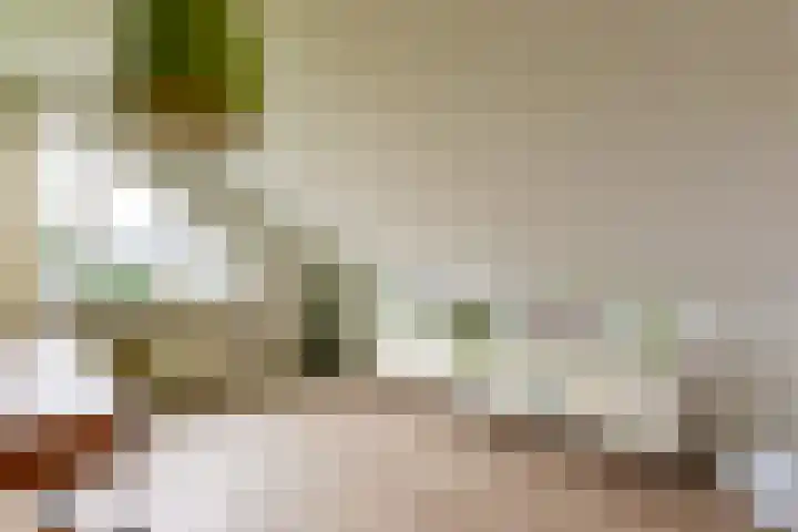 Gondel 26 17 Lelystad thumbnail 20
