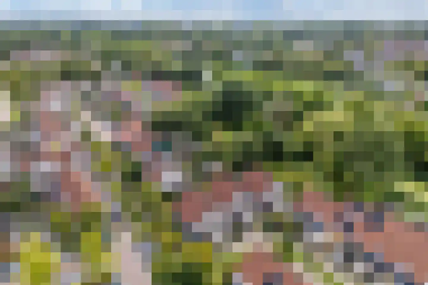 Gondel 26 17 Lelystad thumbnail 31