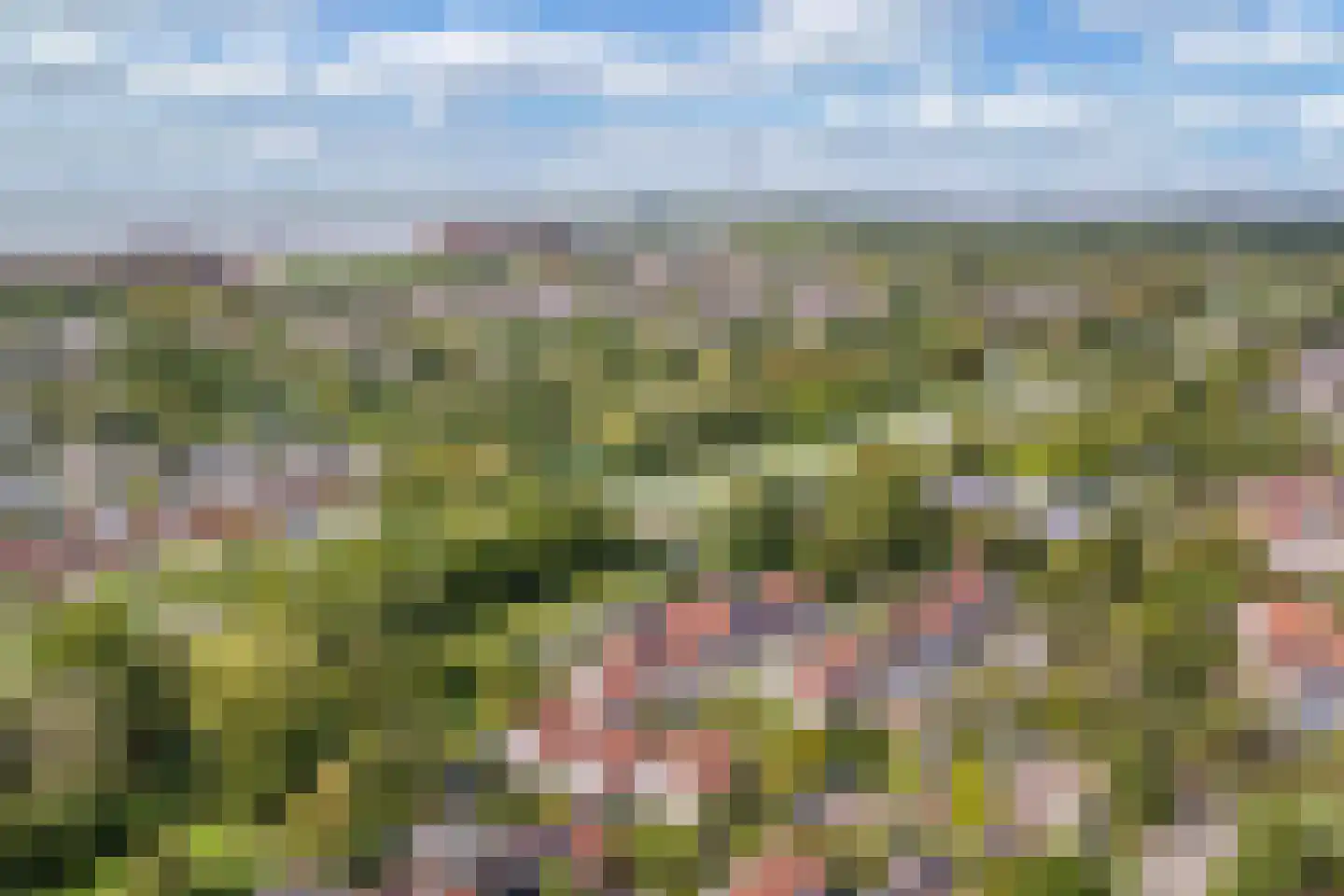 Gondel 26 17 Lelystad thumbnail 33