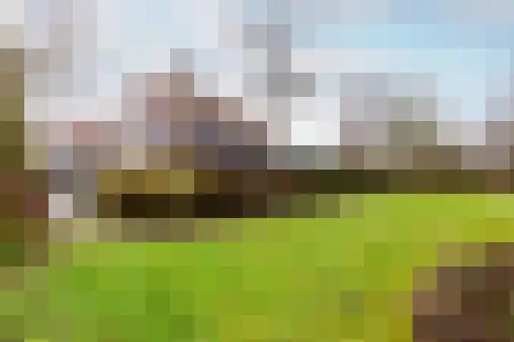 Gondel 26 17 Lelystad thumbnail 38
