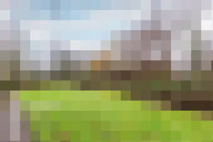 Gondel 26 26 17 Lelystad thumbnail 39