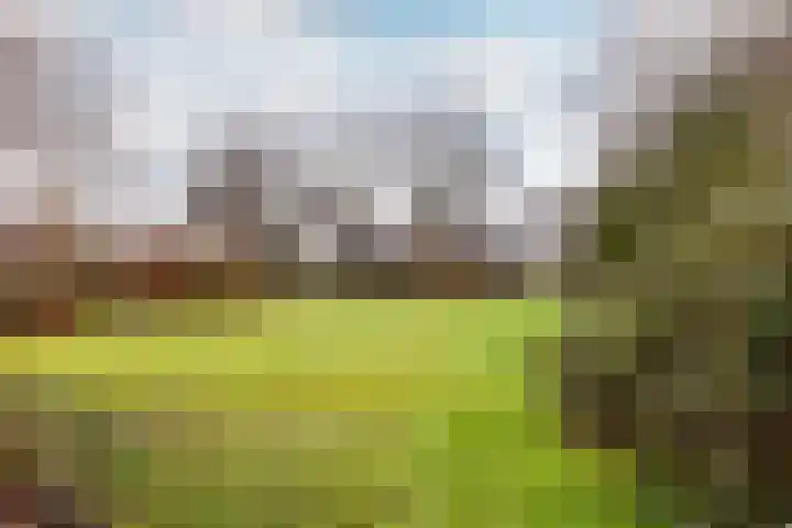 Gondel 26 26 17 Lelystad thumbnail 40