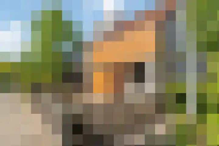 Gondel 26 26 4 Lelystad thumbnail 5