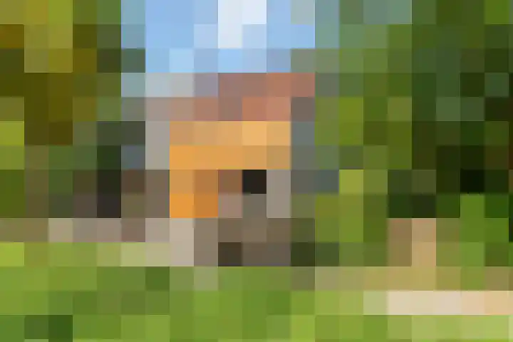 Gondel 26 26 4 Lelystad thumbnail 51