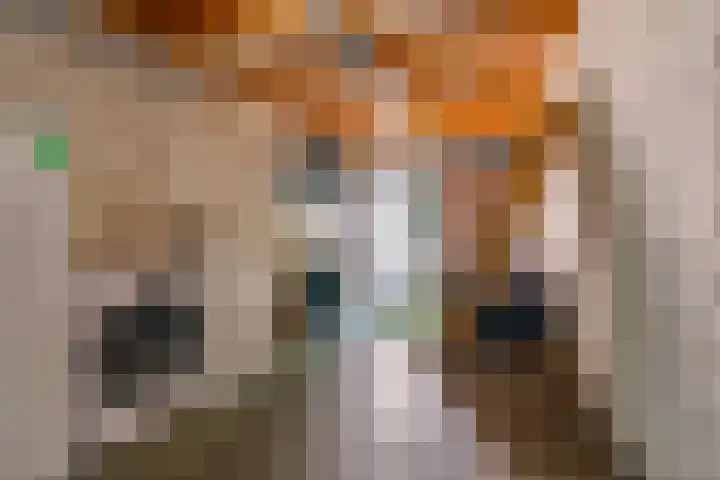 Gondel 27 22 Lelystad thumbnail 25