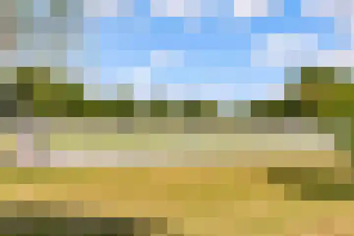 Gondel 27 22 Lelystad thumbnail 38
