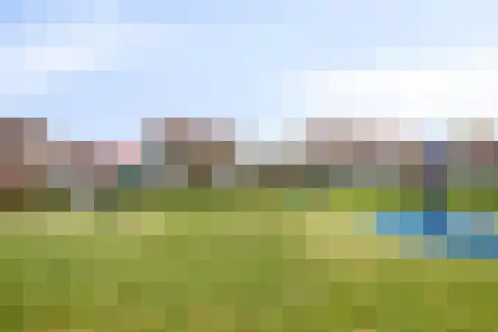 Gondel 29 12 Lelystad thumbnail 30