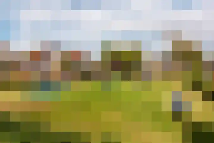 Gondel 30 30 30 Lelystad thumbnail 46