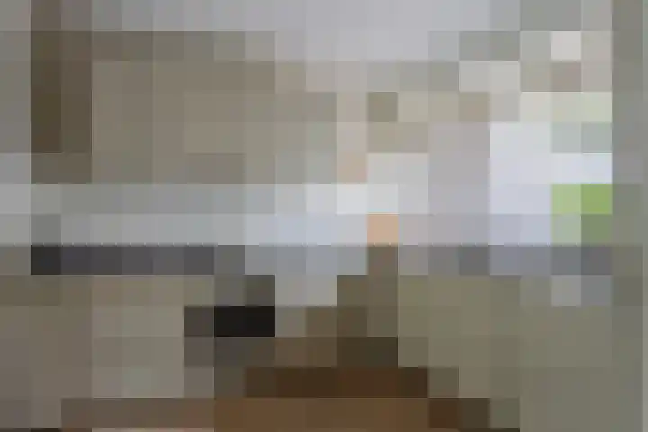 Gondel 31 31 44 Lelystad thumbnail 21