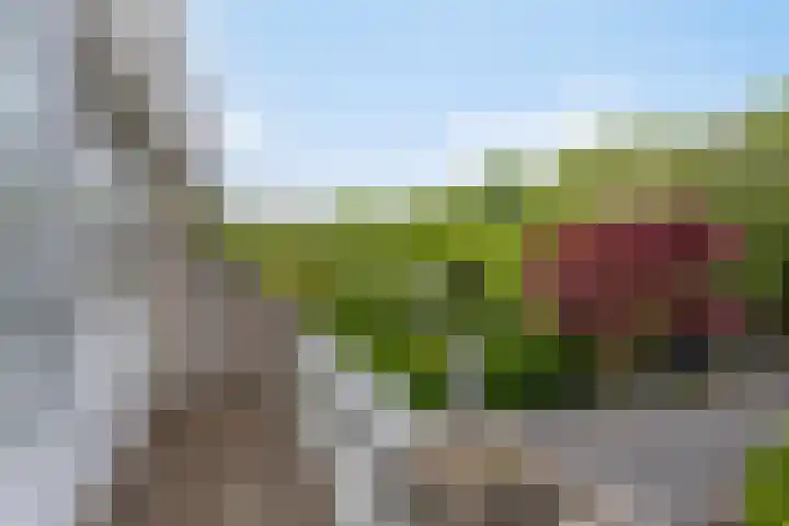 Gondel 31 31 44 Lelystad thumbnail 39