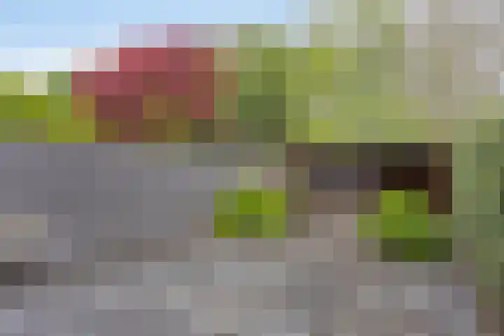 Gondel 31 31 44 Lelystad thumbnail 47