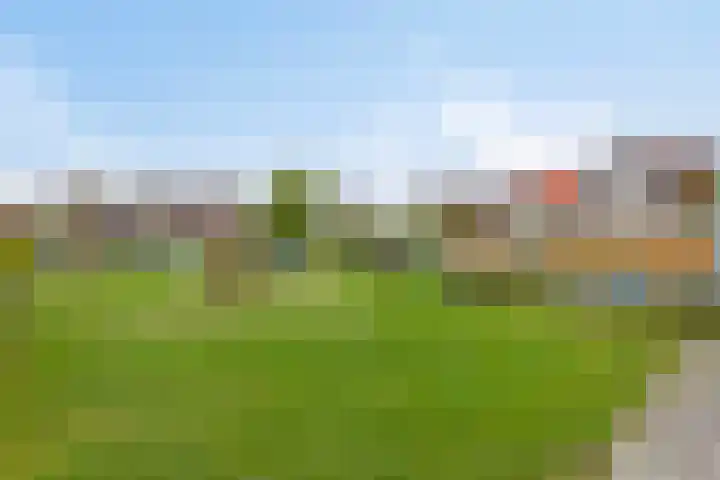 Gondel 31 31 44 Lelystad thumbnail 54