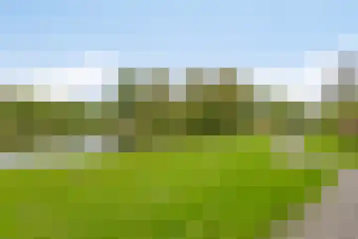 Gondel 31 31 44 Lelystad thumbnail 56
